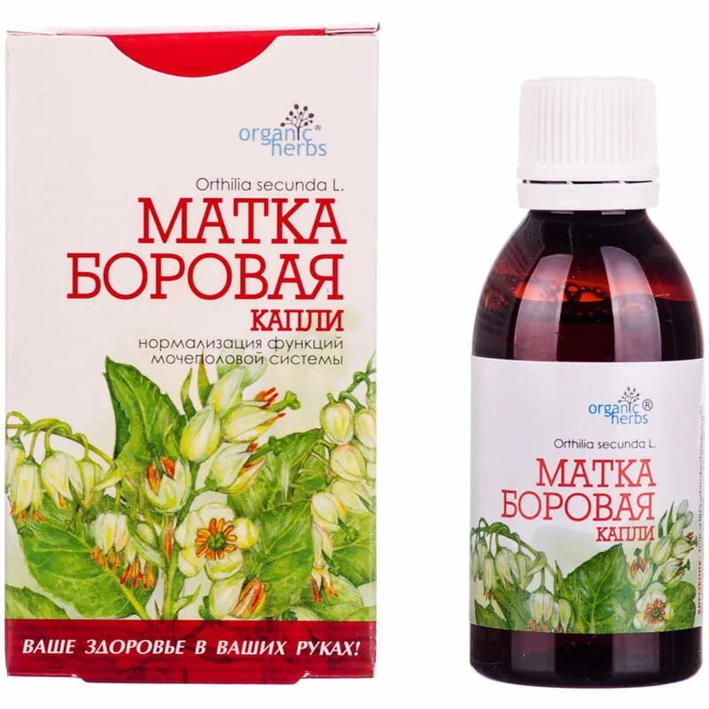 Боровая матка капли для приема внутрь инструкция. Боровая матка 50 мл. боровая матка капли 50мл. бады для мочеполовой системы. боровая матка флакон.
