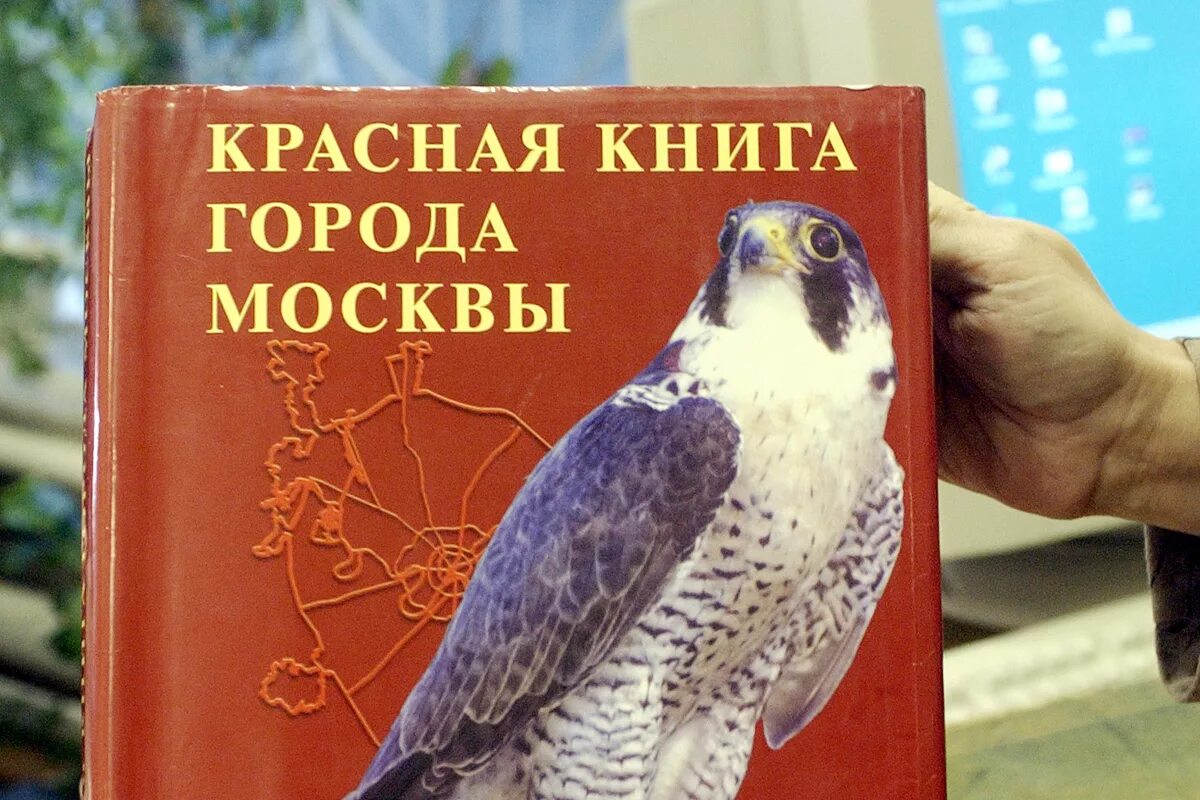 Животные красной книги москвы и московской