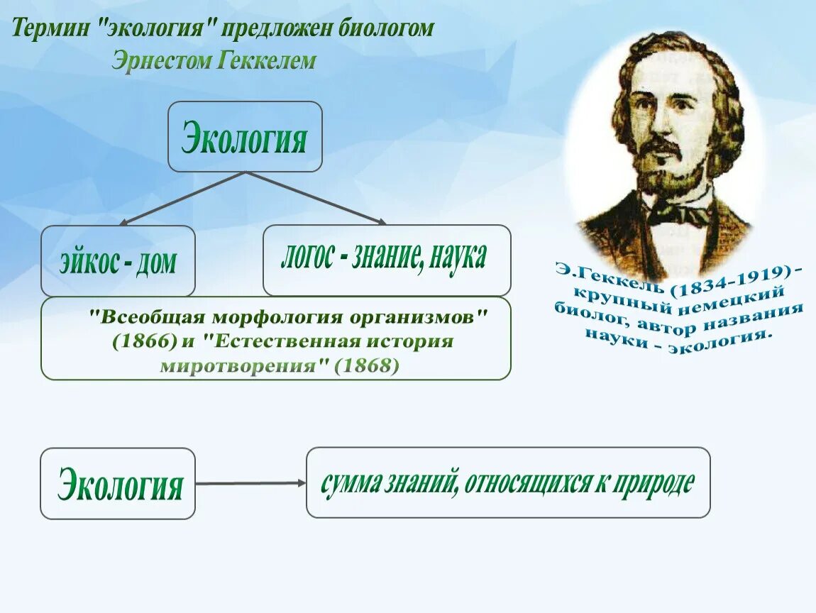 Термин экология. Понятие экология. Термин экология впервые предложил. Экологические термины.