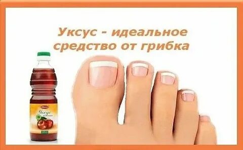 Грибок уксус отзывы