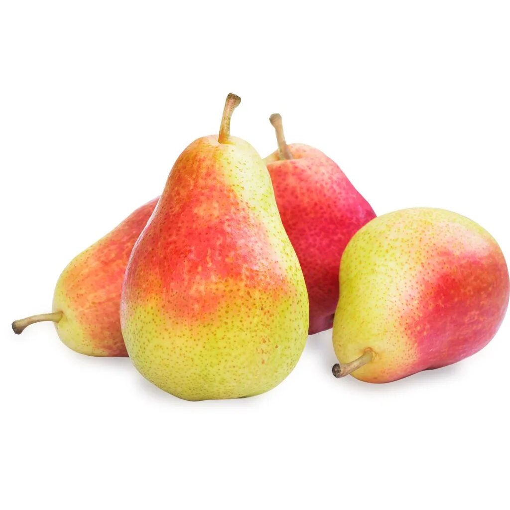 Груша суперлетняя. Груша нова. Груша коричневая боск. Груша крымская красавица. 1-1.