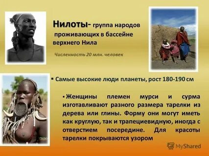 По какому признаку образуется племя