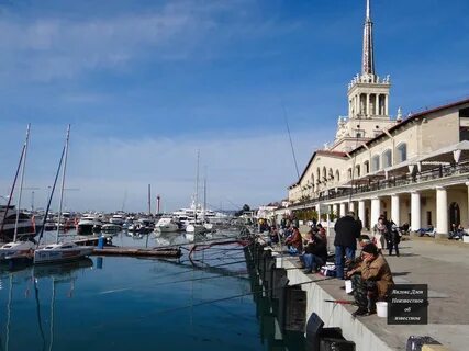 Автобус до морского порта сочи