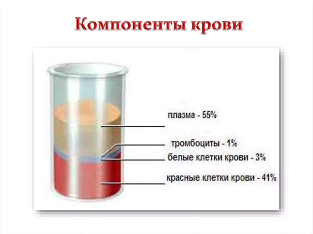 Компоненты крови. Компоненты крови таблица. Таблица компоненты и препараты крови. Основные компоненты крови. Объем жидкой части крови