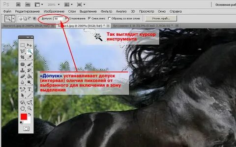 Как выделить область в фотошопе