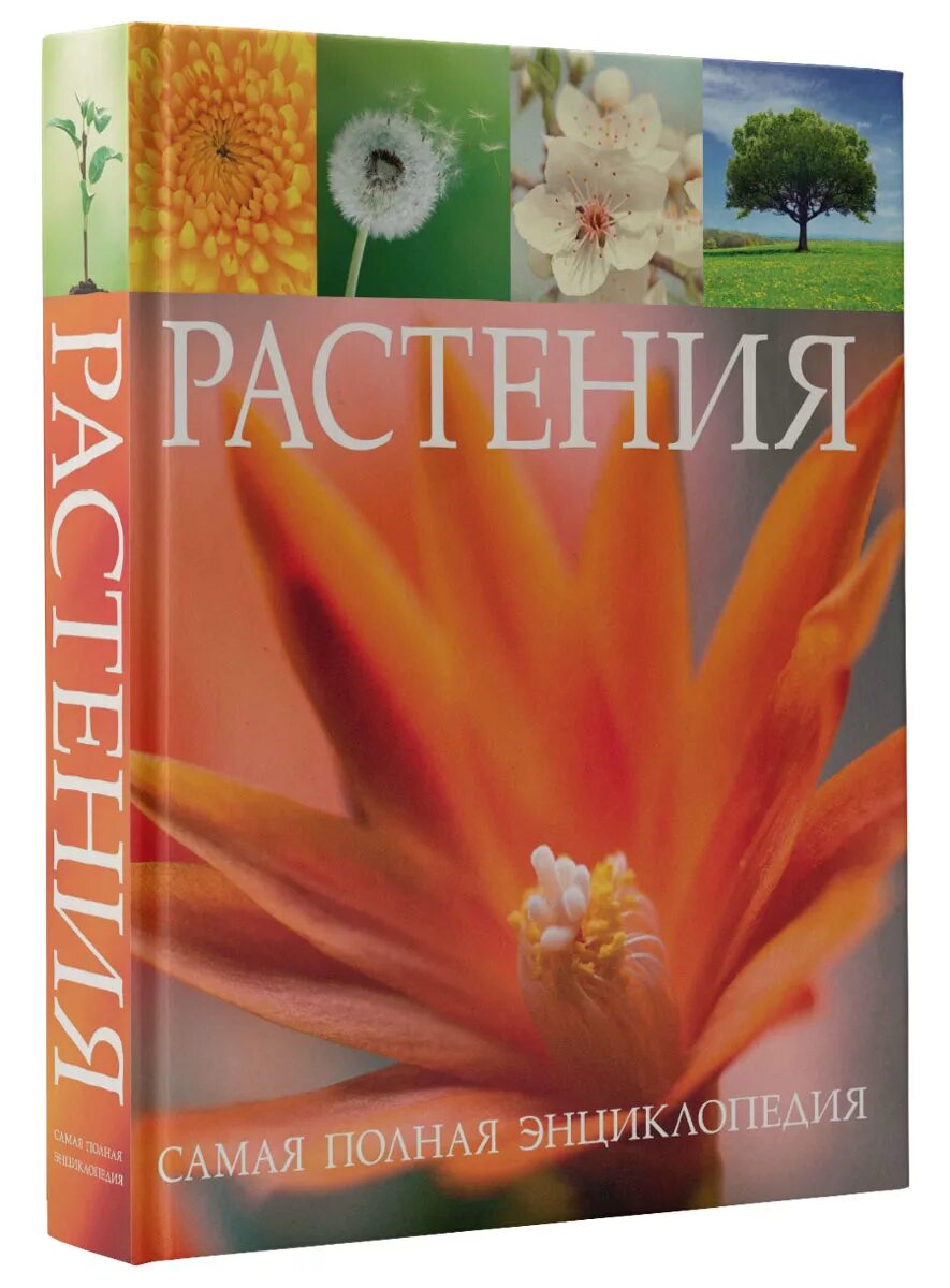Удивительные растения советская книга. К школьник растения полная энциклопедия. Литература про растения. Т. А.