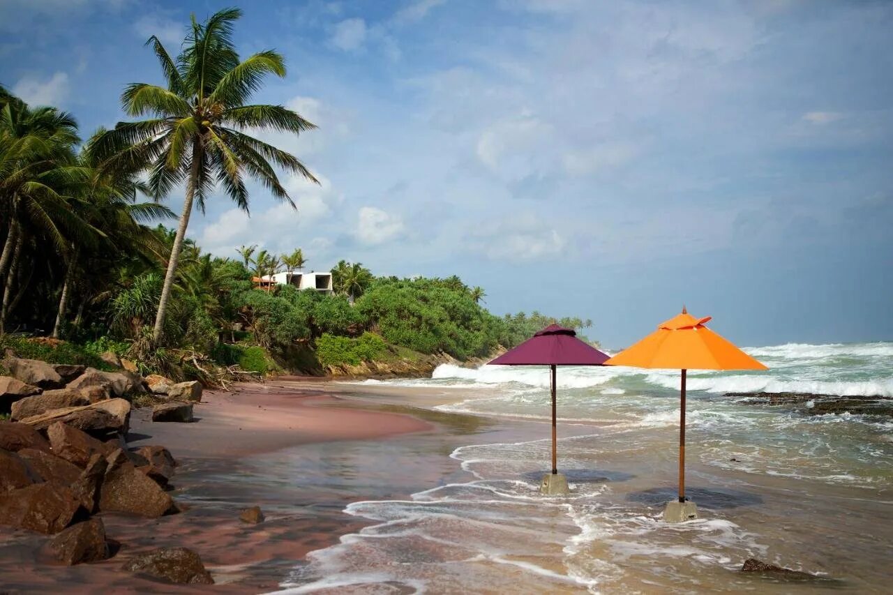 Манго шри ланка. Диквелла Шри Ланка. Dickwella Beach Шри Ланка. Шри-Ланка (остров) Диквелла. Пляж Диквелла Шри.