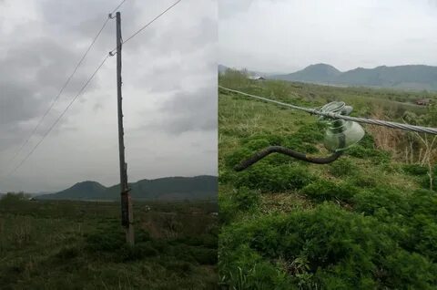 Явка в хакасии