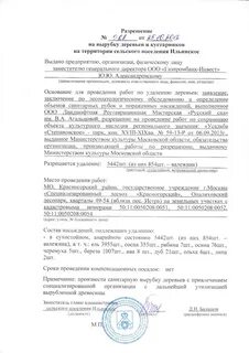 Выдача разрешения на вырубку деревьев