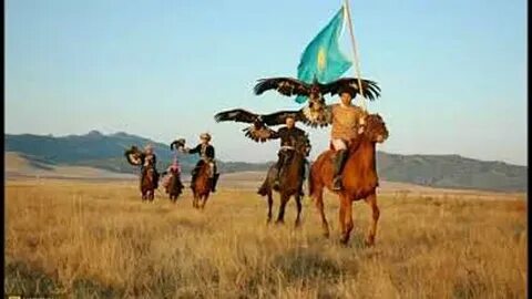 Жылқымен секс туралы бейнелер жинағы.