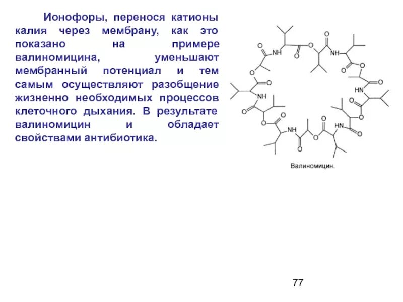 Экономические взгляды мизеса. Внутренний и внешний документооборот организации схема. Навыки в коучинге. Валиномицин биохимия. И тем самым осуществляет.