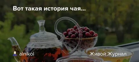 2 дня на чае