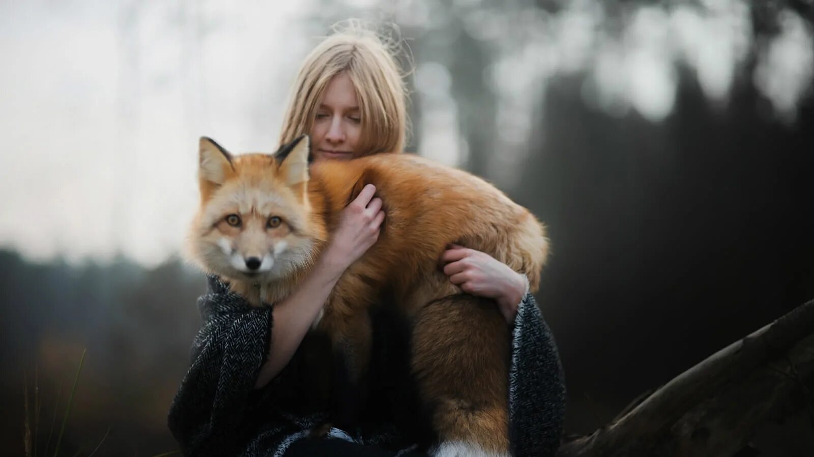 Девушка и лиса. Лиса блондинка. Лиса в объятиях. Фотосессия с лисой.