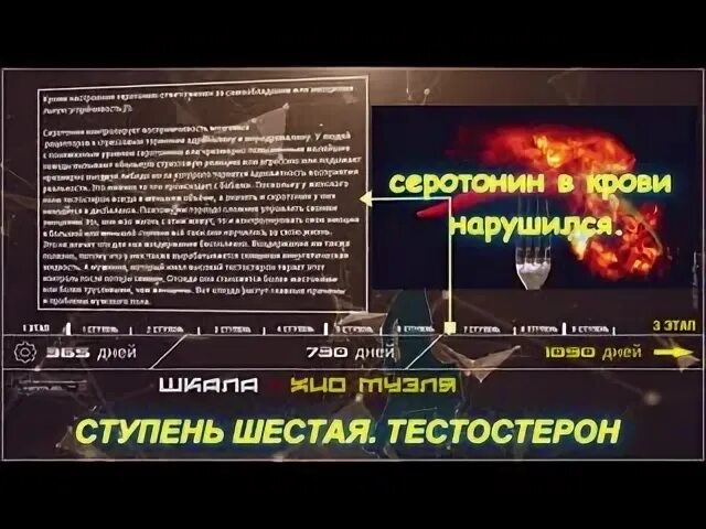 Воздержание и тестостерон. Этапы воздержания. Этапы мужского воздержания. Сила воздержания. Плюсы воздержания для мужчин