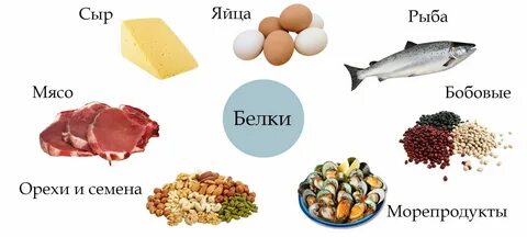 Продукты питания содержащие большое количество белка