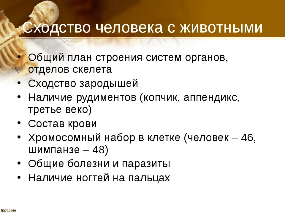 Черты сходства и различия человека. Сходство человека с животными. Признаки сходства человека и животных. Сходскк человека и животных. Сходство человека и животных таблица.