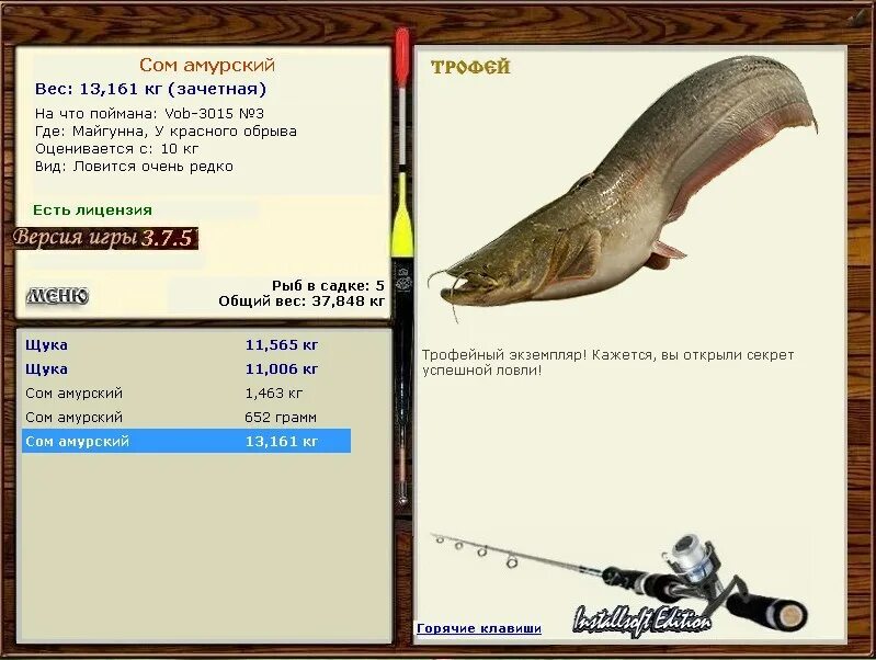 Реальная рыбалка. Сом амурский рр3. Амурский сом реальная рыбалка. Мне карп я сом. Сом амурский русская рыбалка.