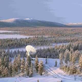 Arctic circle