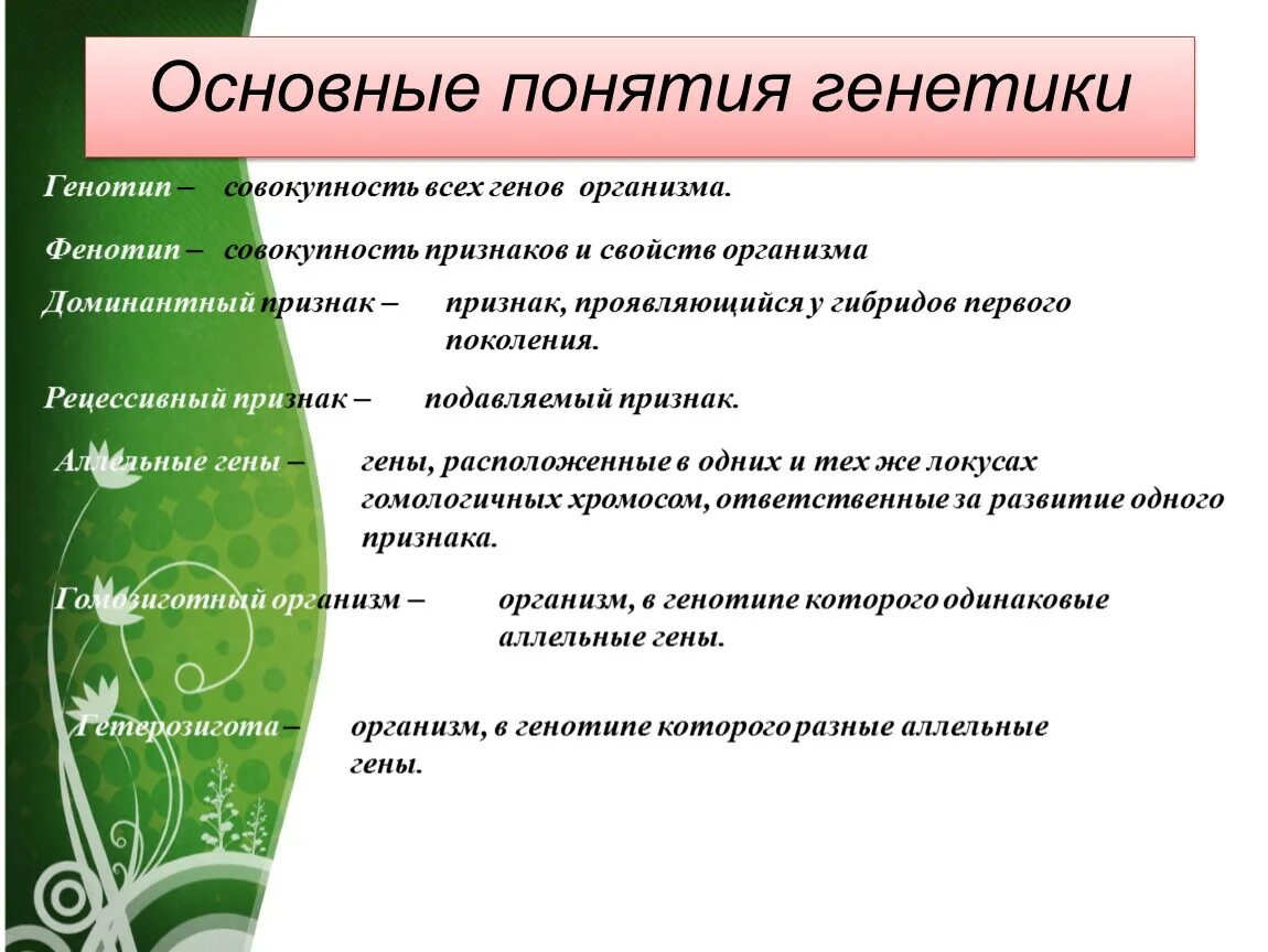 Генотип это совокупность всех генов организма. Понятие о генотипе и фенотипе. Закономерности наследования признаков. Фенотип это совокупность рецессивных генов.