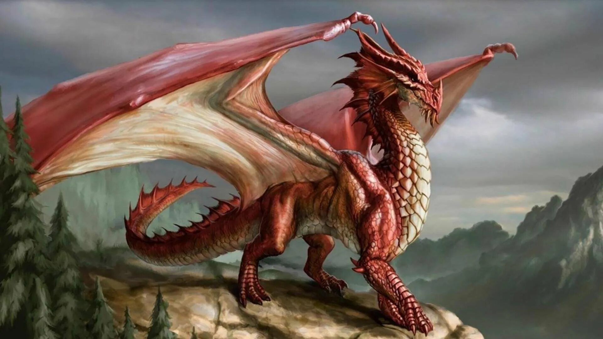 Rad dragon. Огромный дракон. Rad dragon. Rad dragon. Rad dragon.