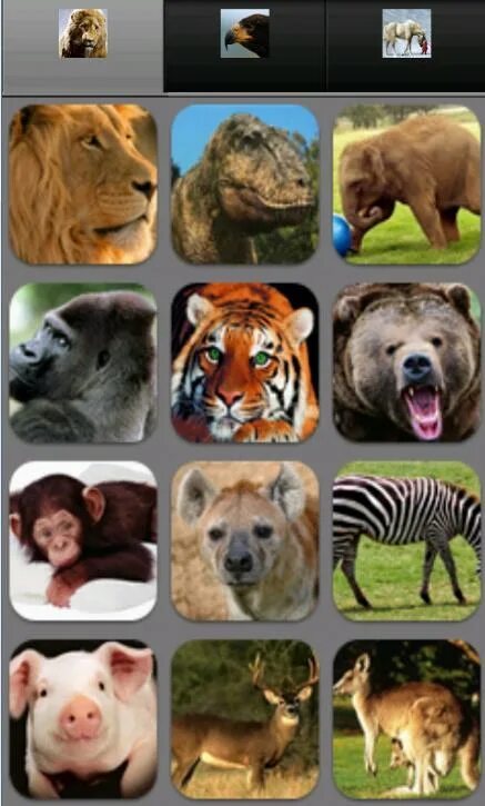 Животные звуки. Необычные звуки животных. Звуки животных гугл. Животные APK. Animals apk