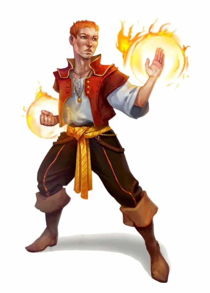 Монах dnd. Лесной эльф монах днд. Полуэльф монах днд. Эльф монах днд. Монах днд арт.