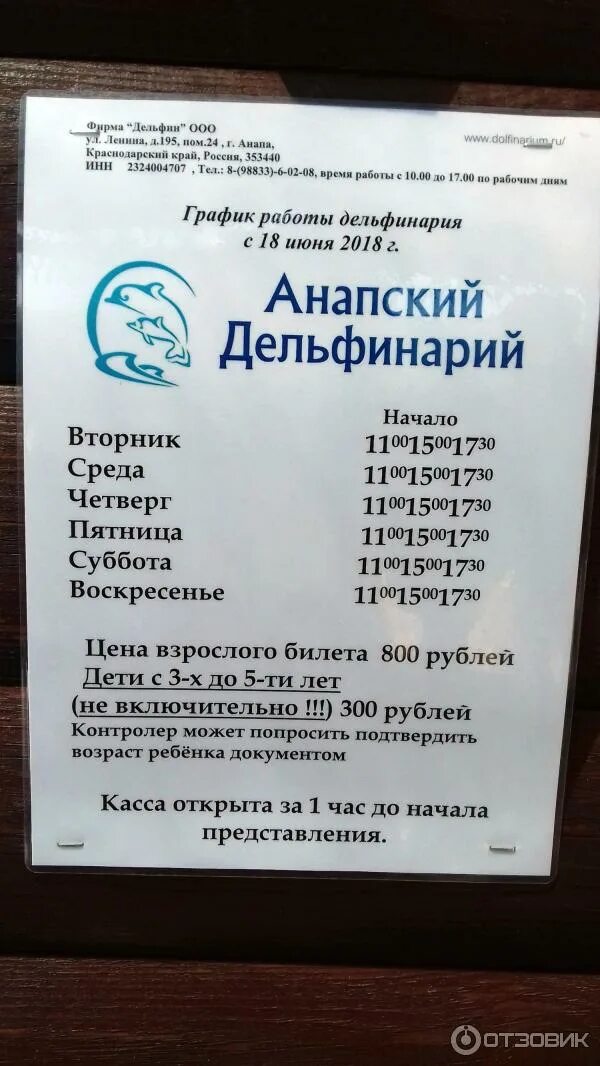 Дельфинарий анапа. Расписание анапского дельфинария на пионерском проспекте. Дельфинарий на пионерском проспекте анапа. Расписание анапского дельфинария на пионерском проспекте. Расписание представлений в дельфинарии.