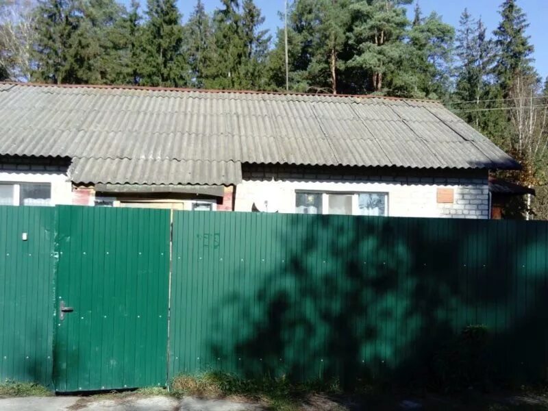 Прогноз погоды ржаница брянская. Ржаница брянская область. ржаница брянск.