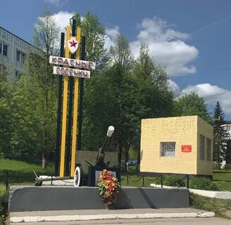 Тейково красные