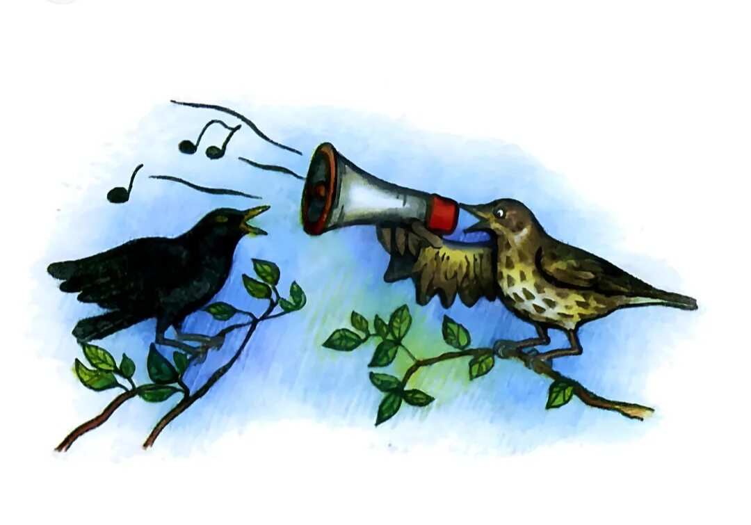 Поют голосистые дрозды и с дерева. Иллюстрации лесных поющих птиц. Картина поют Дрозды. Дрозд поет. Иллюстрация пение разных птиц.