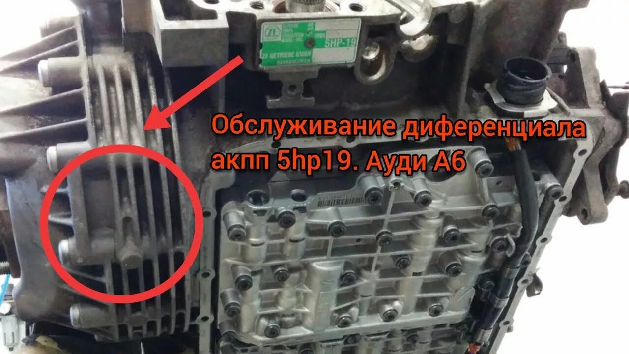 Масло в АКПП 5hp19 Audi. Audi a6 c5 5hp19 заливная горловина АКПП. Дифференциал АКПП на Ауди а6с5. Масло в дифференциале АКПП Ауди а6 с5. Масло в акпп 5hp19