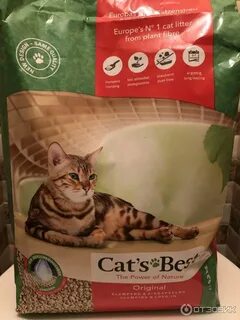 Наполнитель для кошачьего туалета который можно смывать