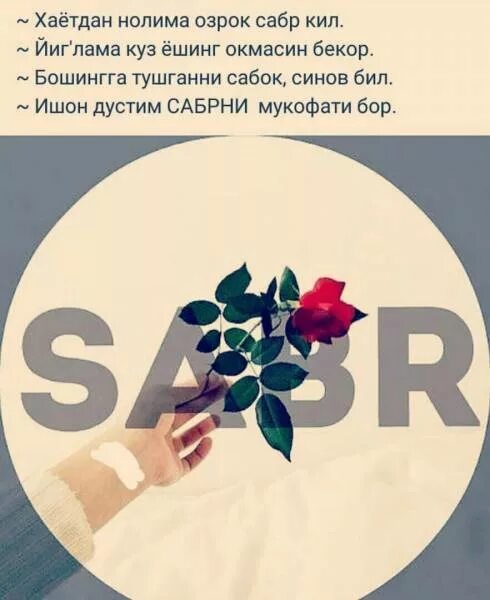 Сабр. Сабр статуслар. Терпение в Исламе. Слова со смыслом про сабр. Сабра что означает