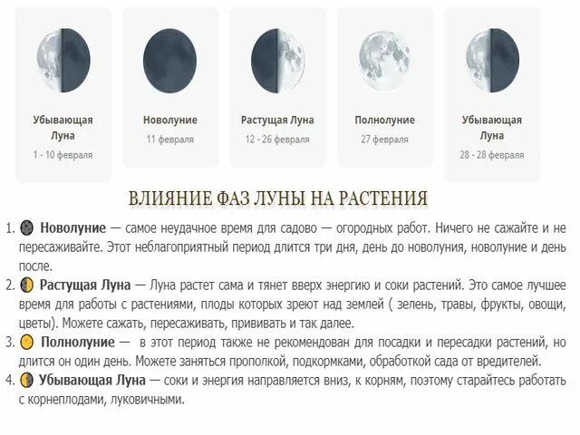 Дней будет растущая луна. Растущая Луна. Растущая и убывающая Луна. Фаза растущей Луны. Луна убывающая растёт полнолуние.