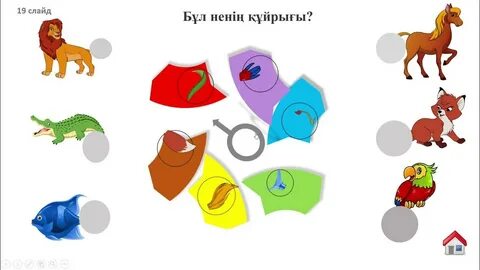 Бөртпе тығынын қалай тазалау керек