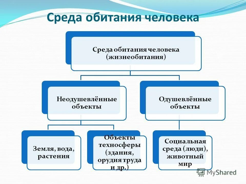 Средства обитания человека