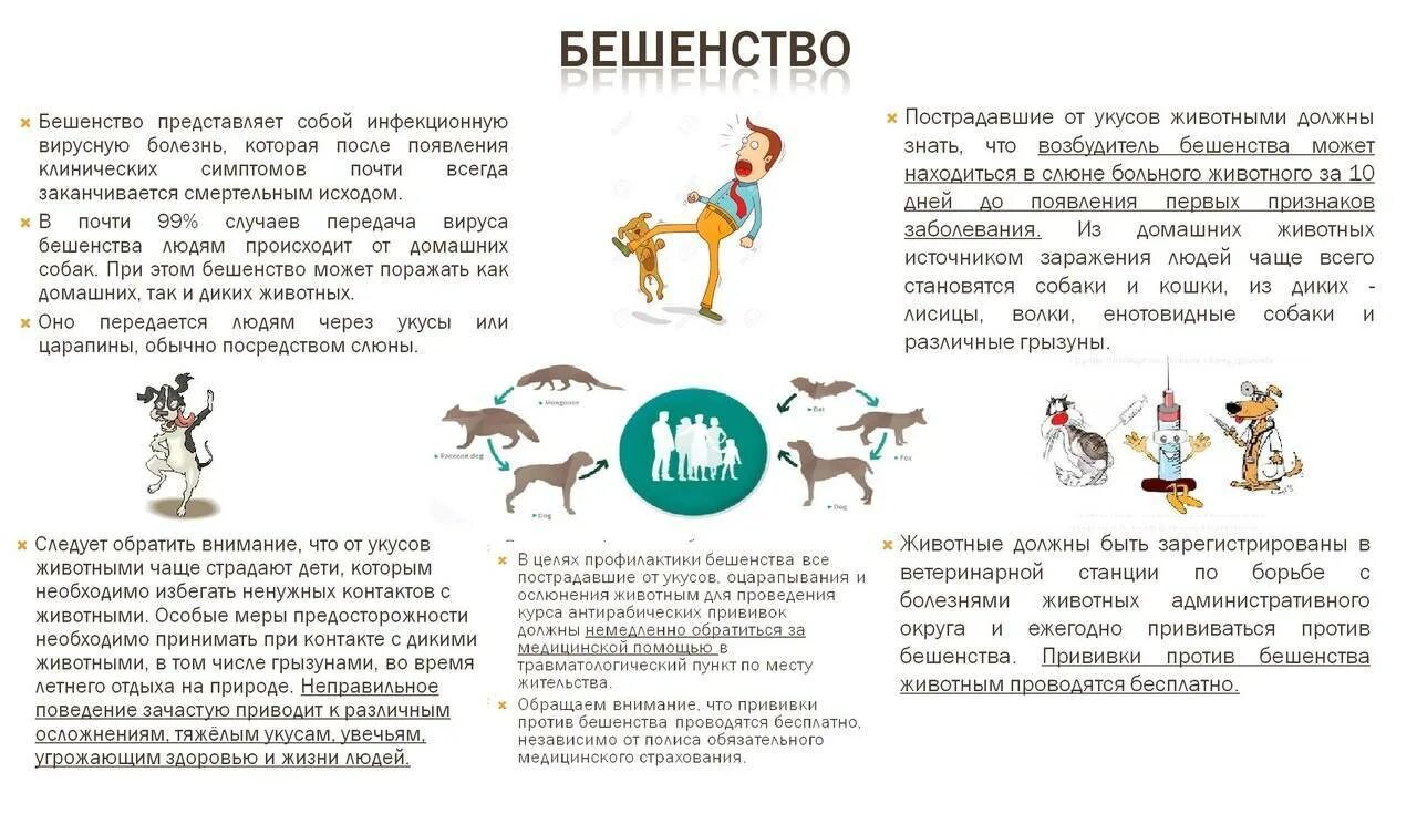 Бешенство поведение. Профилактика бешенства. как передается бешенство.
