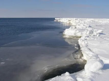 Белое море соленее черного