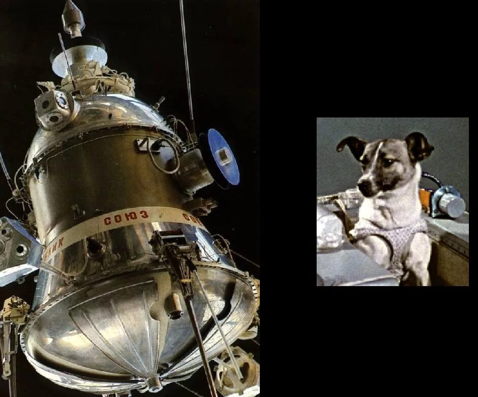 Второй советский спутник. Собака лайка 1957. Спутник-2 космический аппарат с лайкой. 1957 Космос Спутник 2 лайка. Второй искусственный Спутник земли Спутник-2.