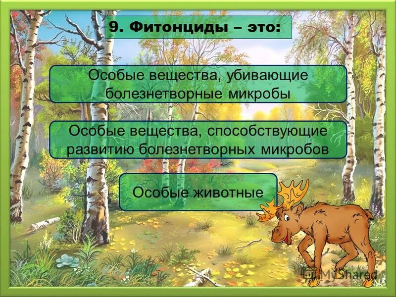 Тесты природные зоны 5 класс. Фитонциды это. Что такое фитонциды определение. Фитонциды хвойных. Фитонциды картинки для презентации.