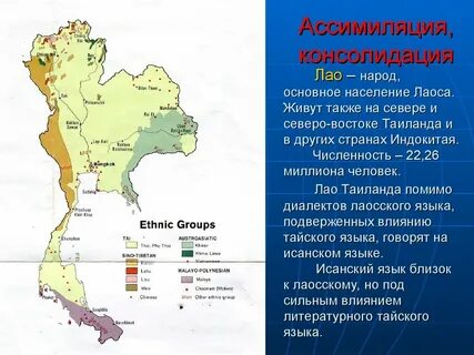 Численность тайланда