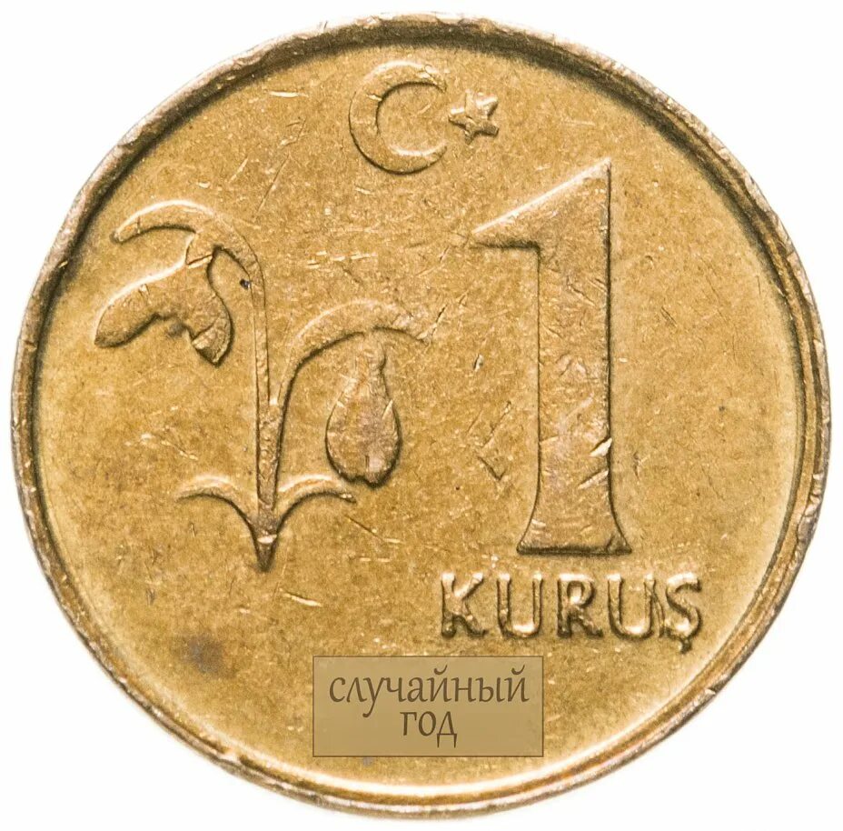 300 турецких в рублях. Турецкие монеты 50 Куруш 2009. Турецкая монета 1. Турецкая монета Куруш 1893г. Монеты Турции 1 Куруш.
