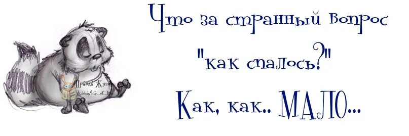 Как спалось ответ. Как спалось. как спалось картинки. открытка как спалось. как спалось тебе.