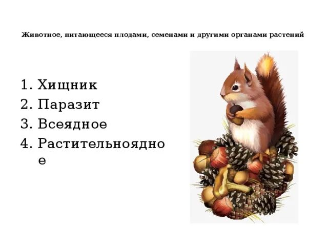 Животные питающиеся другими организмами