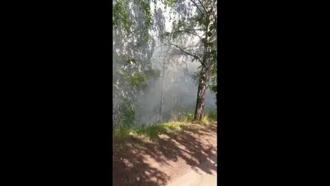 Пожар березовая роща