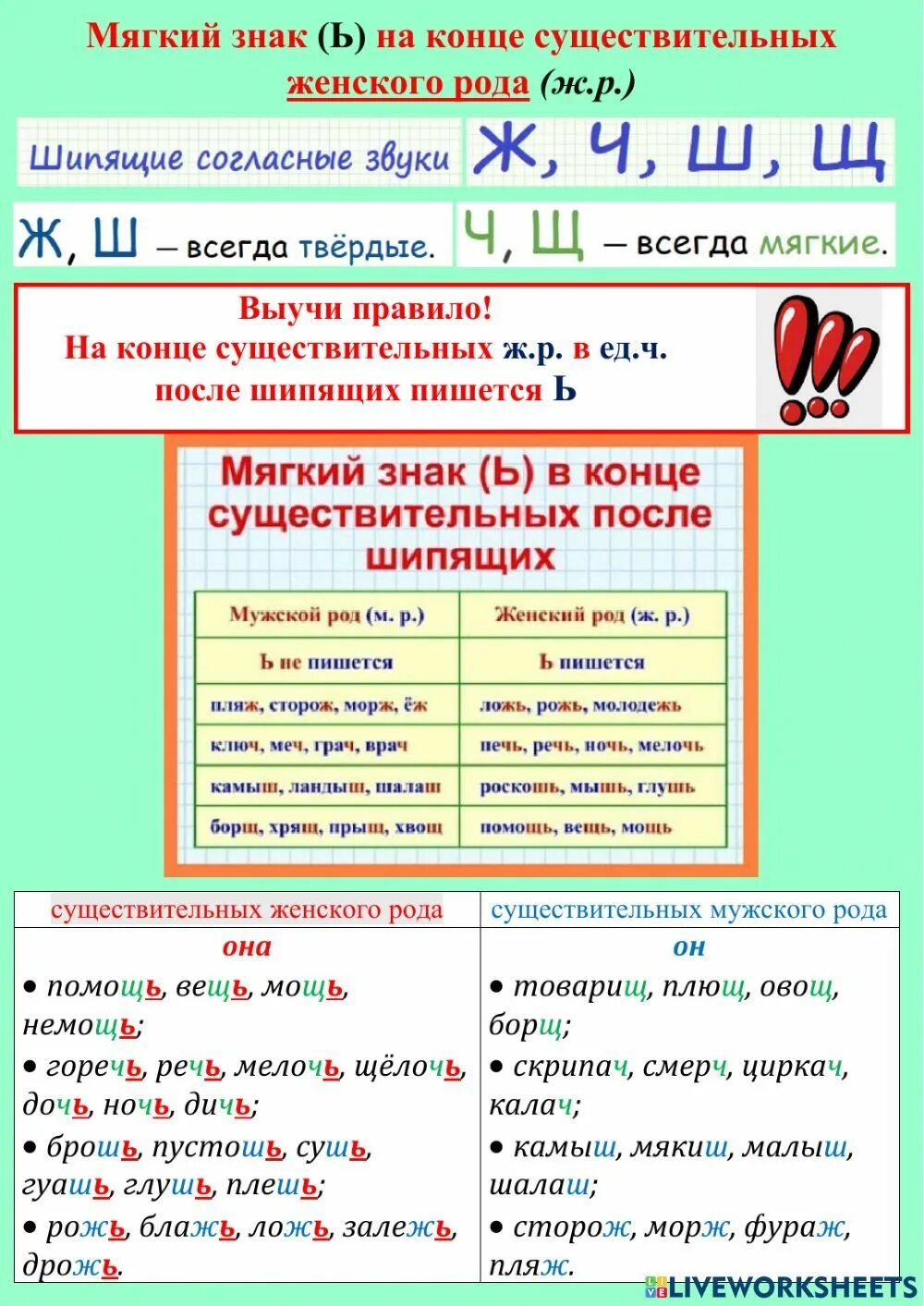 Мягкий знак после шипящих на конце существительных. Мягкий знак на конце шипящих существительных. Мягкий знак на конце существительных на шипящий. Существительные с ь на конце после шипящих.