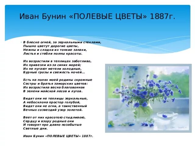 Полевых цветочков песня. Стихотворение Бунина полевые цветы. Стихотворение Ивана Бунина полевые цветы.