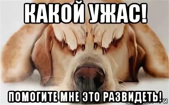 Шутки про подушку. Что значит слово кашмат. Маленькие кошмары. Как пишется кошмар. Кошмар правописание или кашмар.