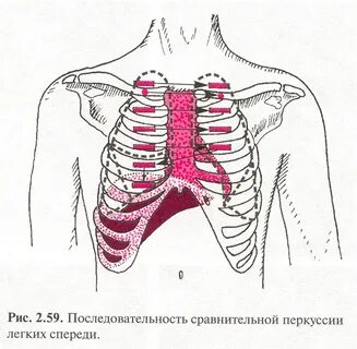 Верхняя граница грудной клетки