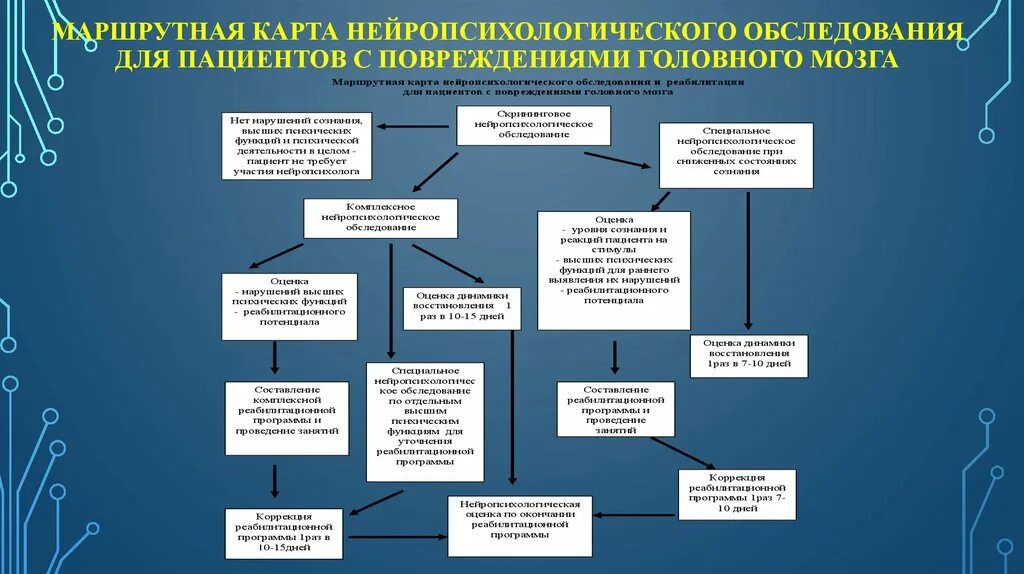 Направления отечественной нейропсихологии схема. Обследование впф. Схема нейропсихологического обследования хомская. Нейропсихология пробы. Нейропсихологическая коррекция в детском возрасте.